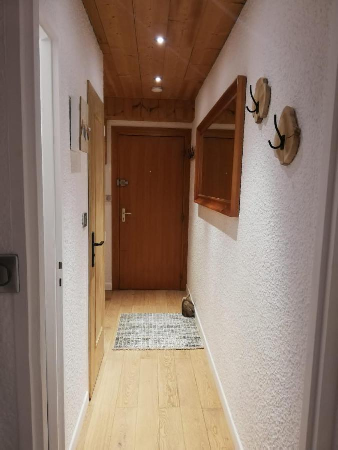 Les Deux Alpes, Le Lauvitel, Appartement Cosy, Pied Des Pistes, 2 Adultes 2 Enfants 外观 照片